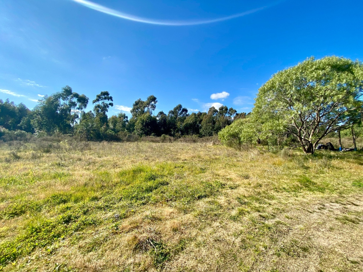 Chacra ID.3556 - Venta Terreno 3 hectáreas 2 Casas y Piscina Inversión Pando
