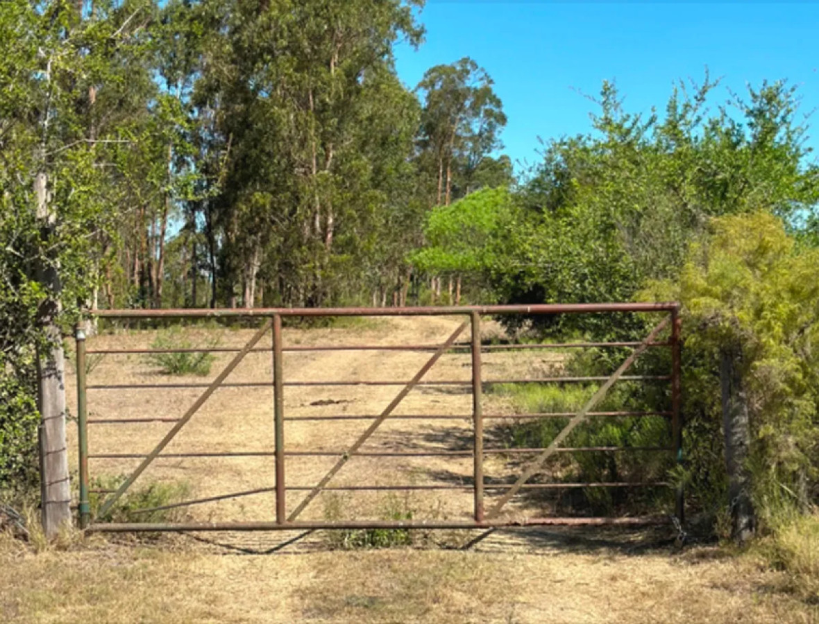 Chacra ID.4844 - Venta o Alquiler Chacra Nueva El Colorado Canelones