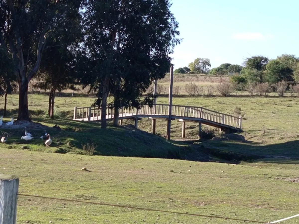 Chacra ID.4812 - Venta Chacra con Terreno Frente al Rio Santiago Vazquez
