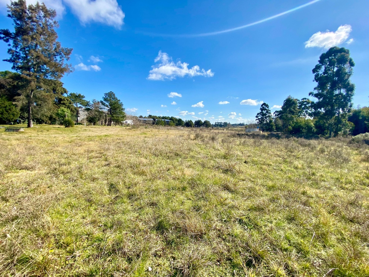 Chacra ID.3556 - Venta Terreno 3 hectáreas 2 Casas y Piscina Inversión Pando
