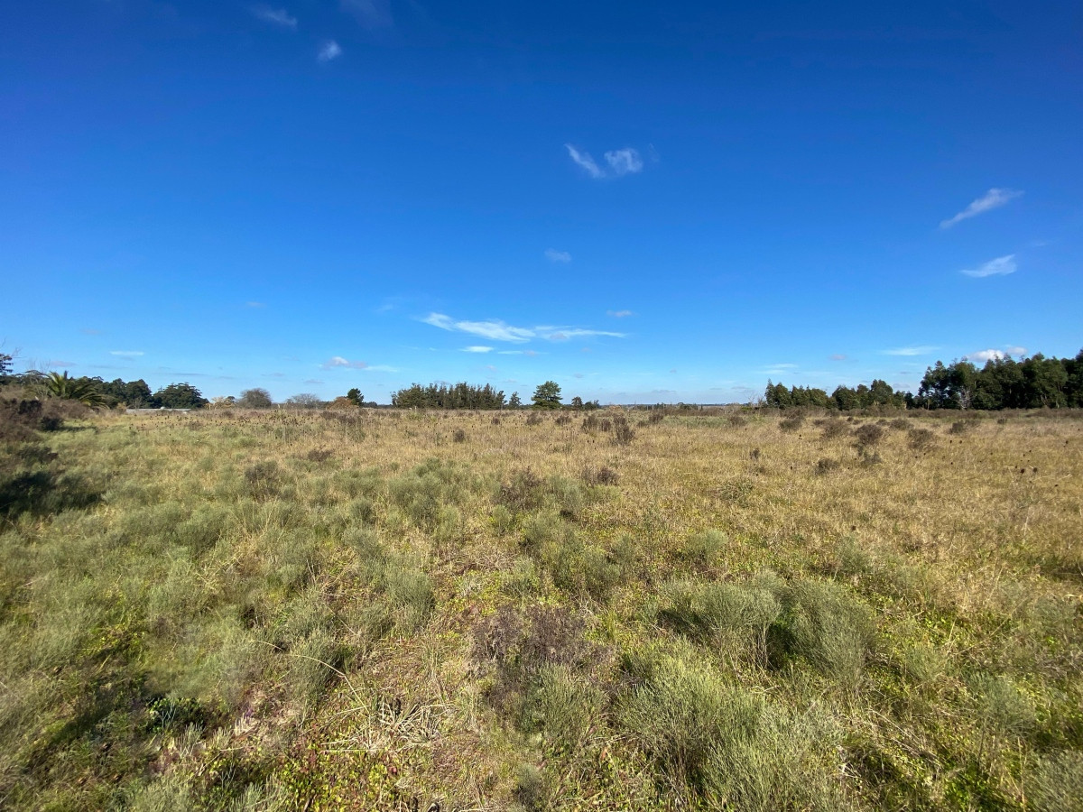 Chacra ID.3556 - Venta Terreno 3 hectáreas 2 Casas y Piscina Inversión Pando