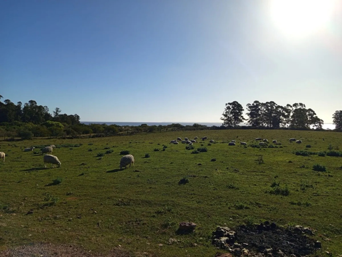 Chacra ID.4812 - Venta Chacra con Terreno Frente al Rio Santiago Vazquez