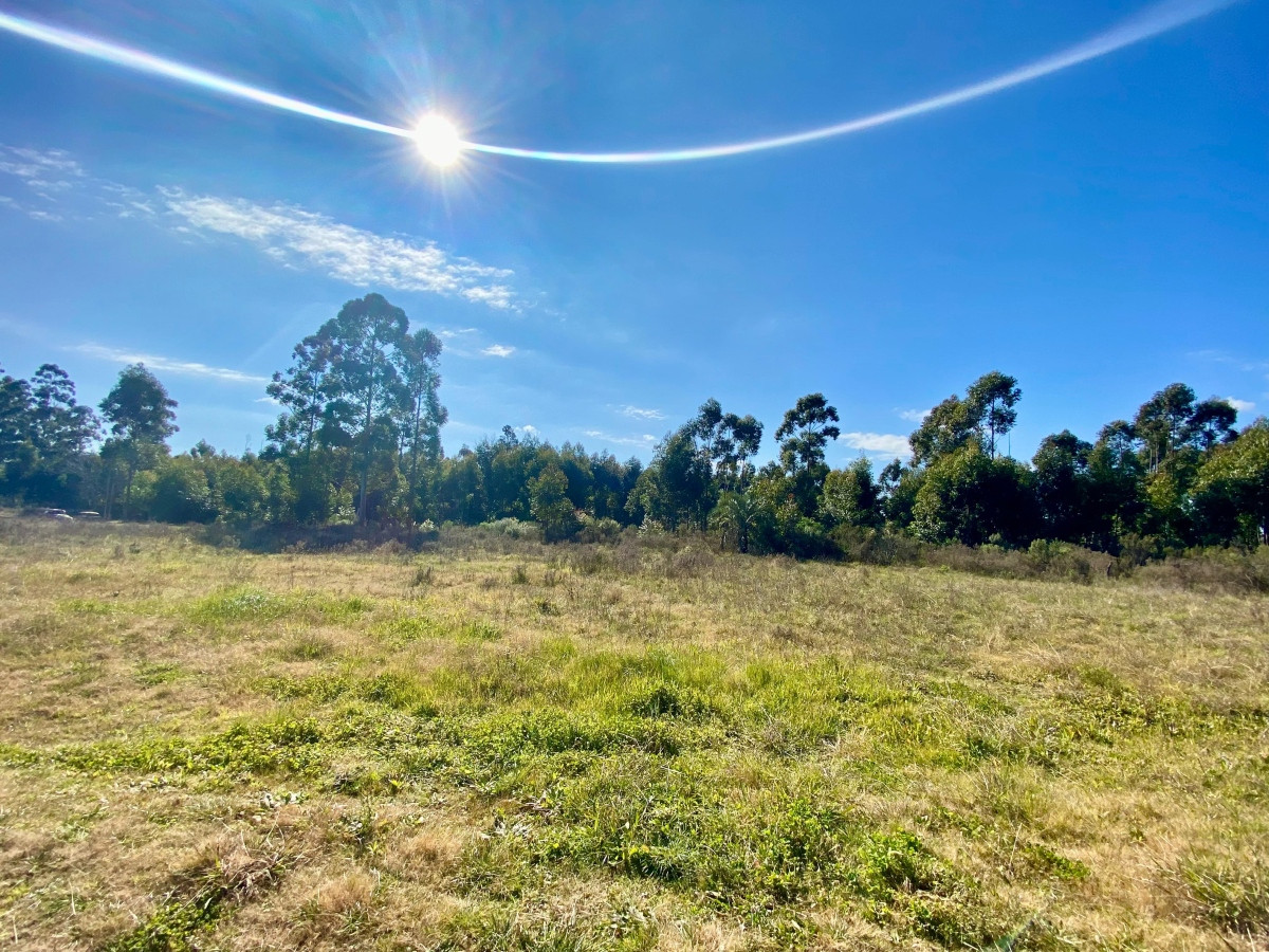 Chacra ID.3556 - Venta Terreno 3 hectáreas 2 Casas y Piscina Inversión Pando
