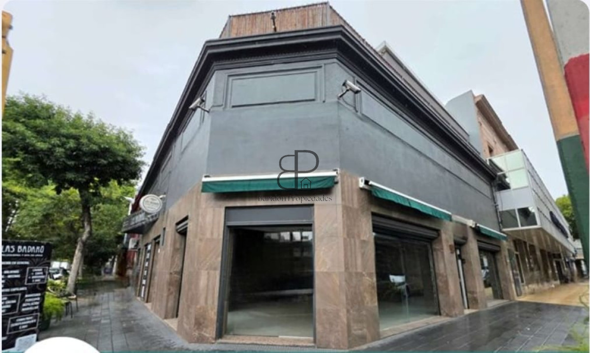 Local Comercial ID.6986 - Venta 2 Locales Padrón Único con renta 250m2 Goes
