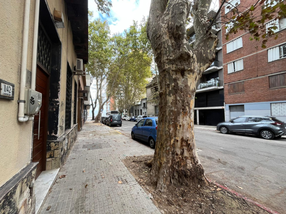 Local Comercial ID.5193 - Alquiler Precioso Local con Vivienda Centro 64m2 