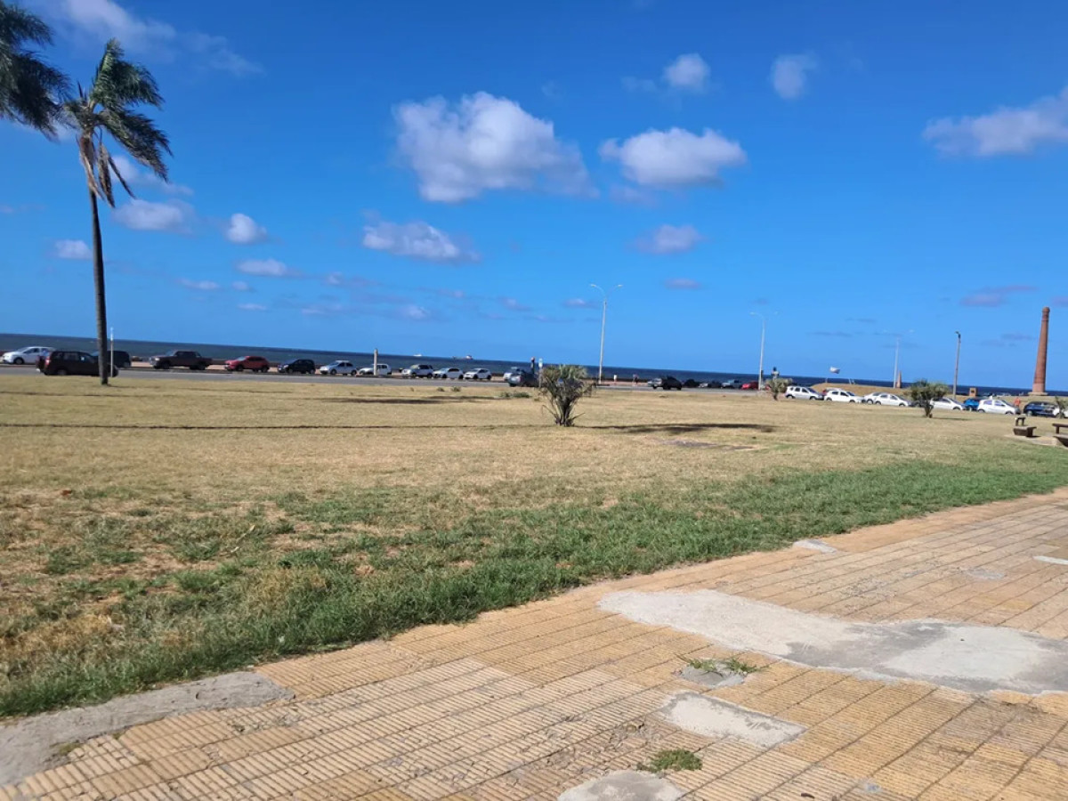 Local Comercial ID.6073 - Alquiler Local Ciudad Vieja frente a la Rambla 70m2