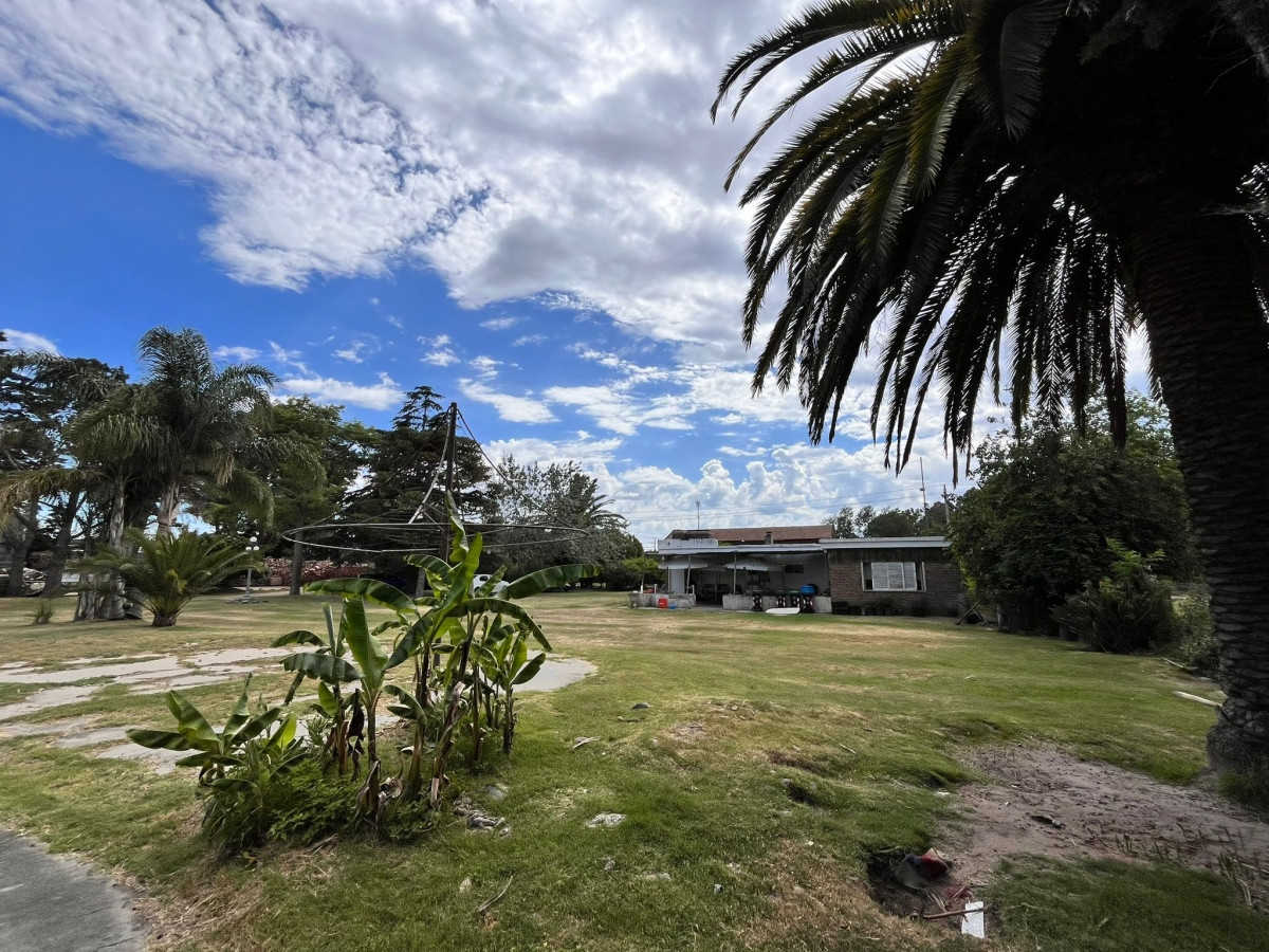 Terreno ID.2707 - Venta Excelente Terreno con dos Casas y galpones Para Inversionistas Parque Carrasco