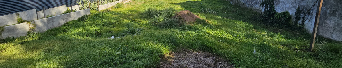 Venta Terreno y Proyecto de Viviendas Malvin Norte Inversion