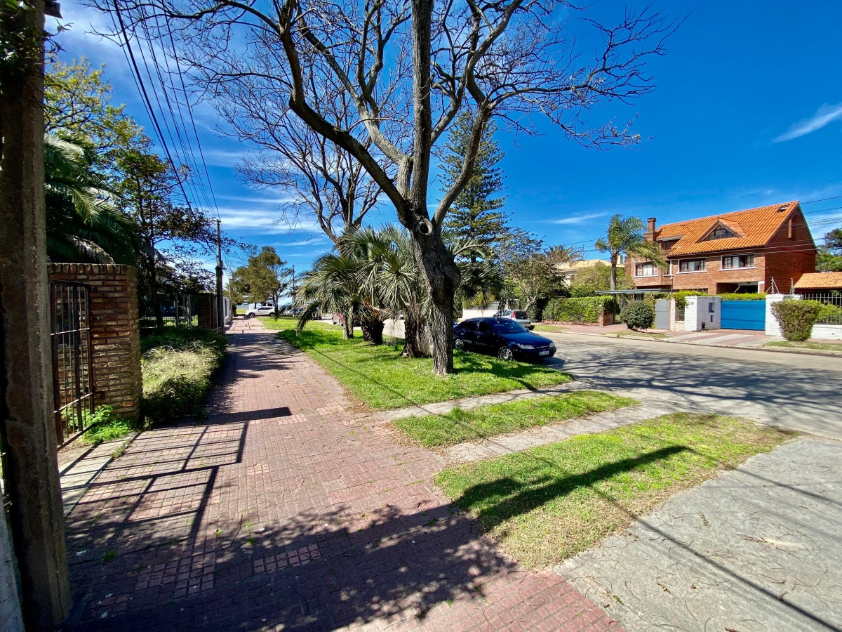 Oficina ID.3783 - Alquiler Oficina Local a Estrenar en Carrasco