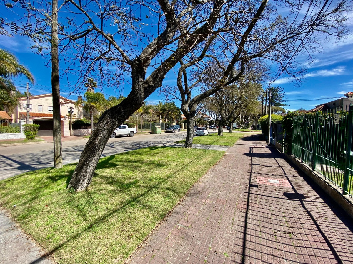 Oficina ID.3783 - Alquiler Oficina Local a Estrenar en Carrasco