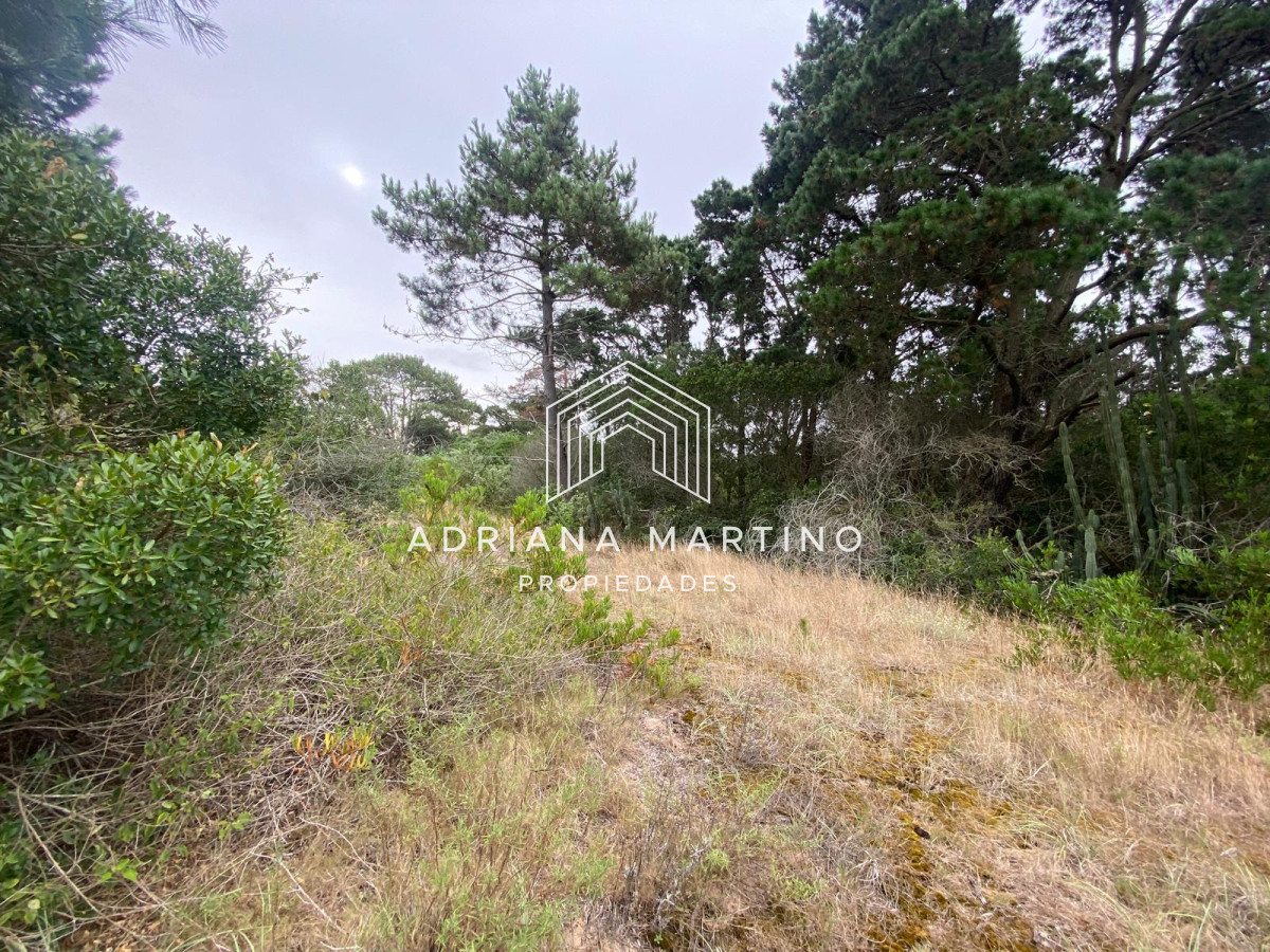 Piedras del Chileno - GoPunta - Portal Inmobiliario de Punta del Este - Maldonado