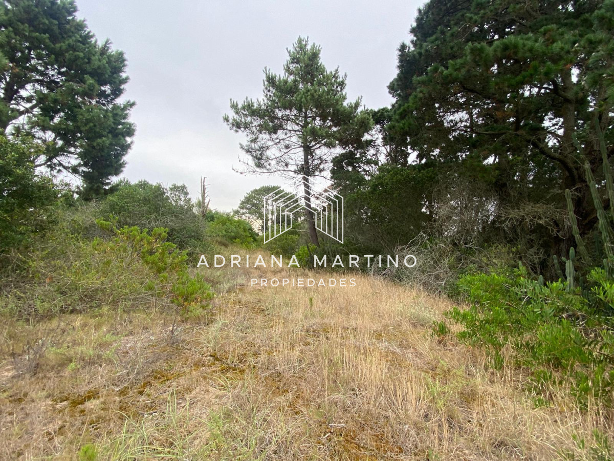 Piedras del Chileno - GoPunta - Portal Inmobiliario de Punta del Este - Maldonado