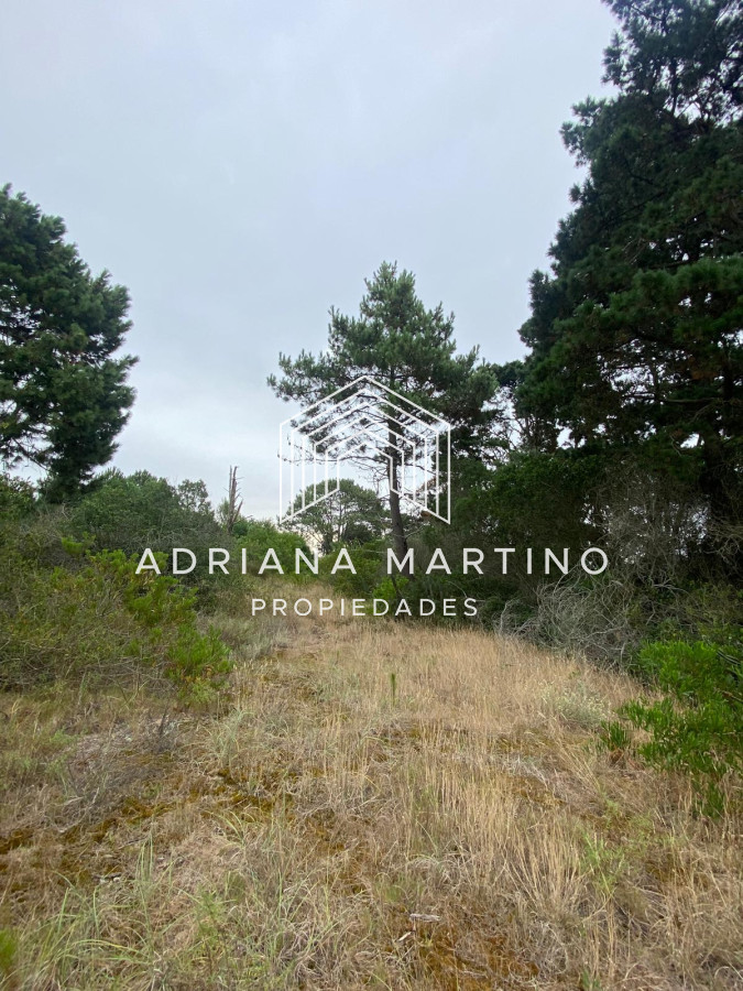 Piedras del Chileno - GoPunta - Portal Inmobiliario de Punta del Este - Maldonado