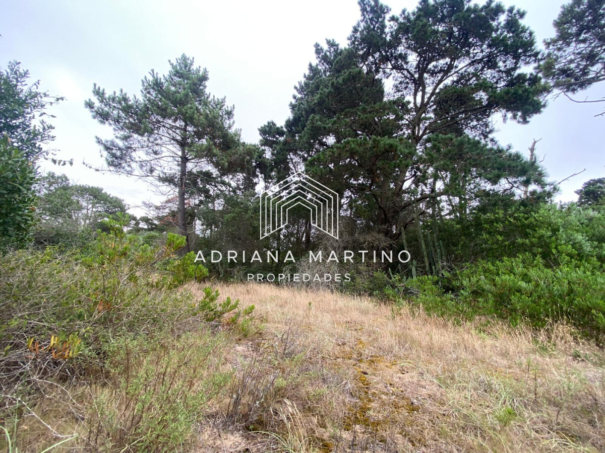 Piedras del Chileno - GoPunta - Portal Inmobiliario de Punta del Este - Maldonado