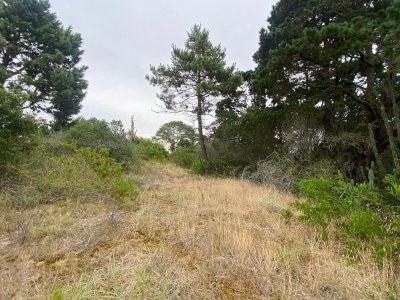 Terrenos en venta en Piedras del chileno, Punta del este
