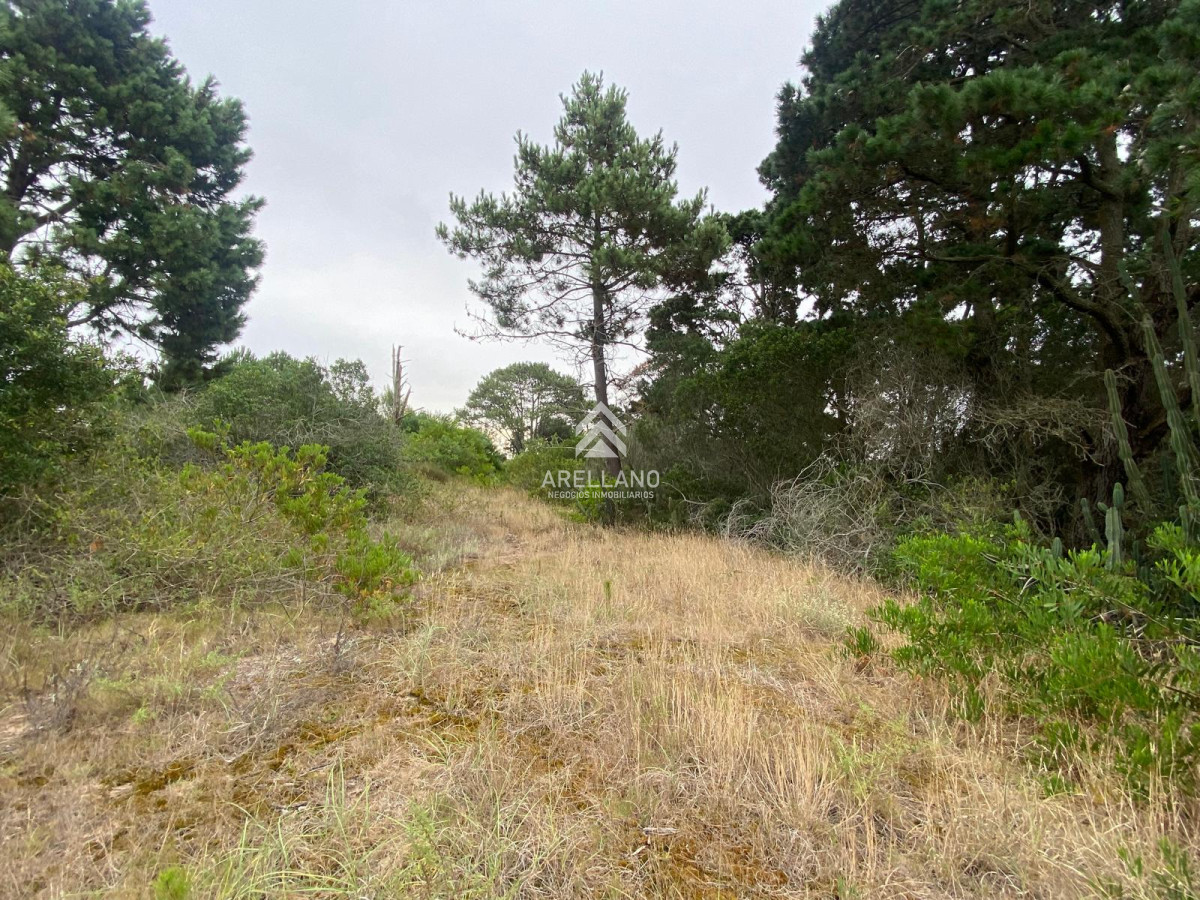 Terreno ID.6318 - Venta terrenos Piedras del chileno, Punta del este