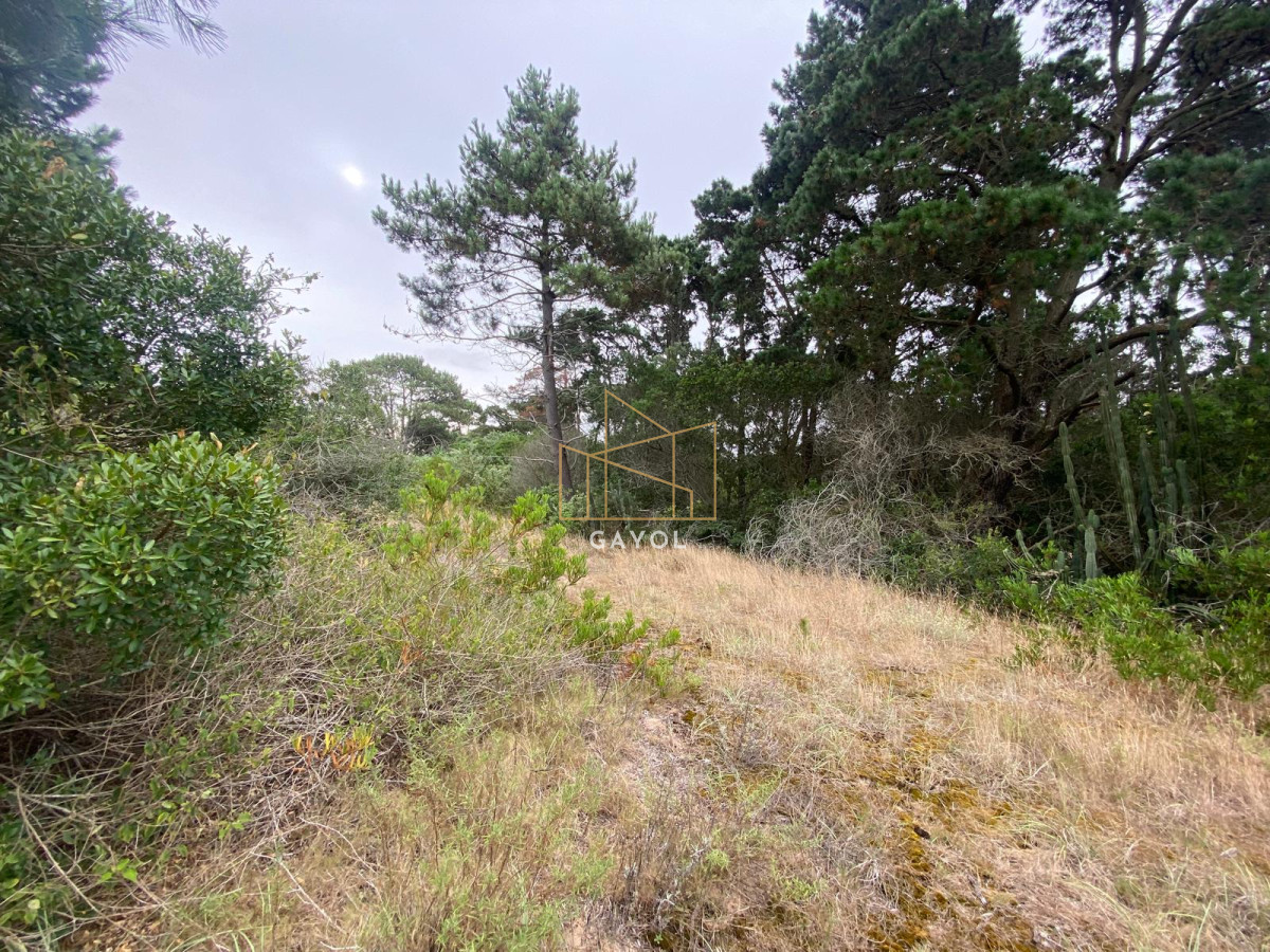 Terreno ID.1261 - Terrenos en venta en Piedras del chileno, Punta del este