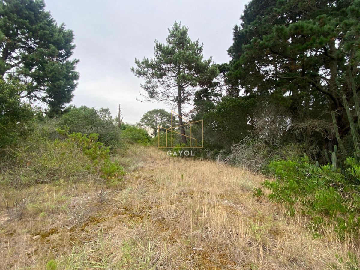 Terreno ID.1261 - Terrenos en venta en Piedras del chileno, Punta del este