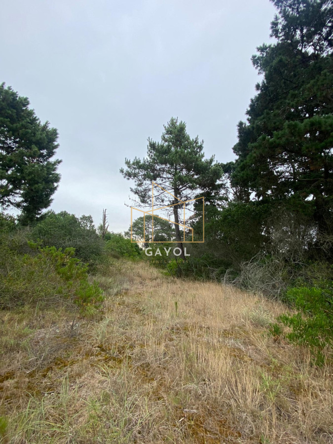 Terreno ID.1261 - Terrenos en venta en Piedras del chileno, Punta del este