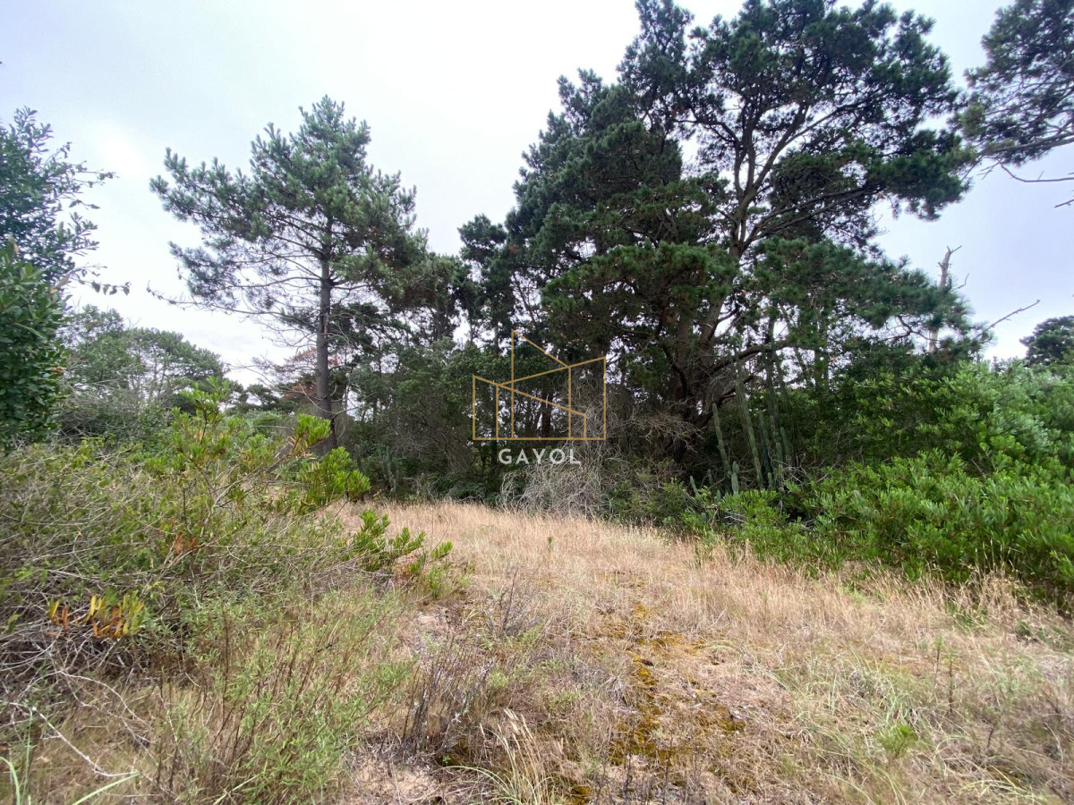 Terreno ID.1261 - Terrenos en venta en Piedras del chileno, Punta del este