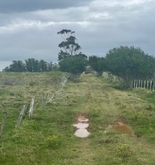 Se vende Chacra en Laguna Garzon