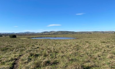 Campo Agricola- Ganadero en venta