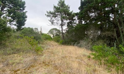 Terrenos en venta en Piedras del chileno, Punta del este