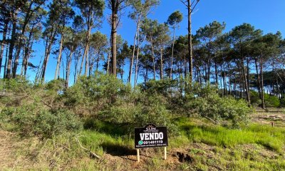 Terreno a la venta en Chihuahua