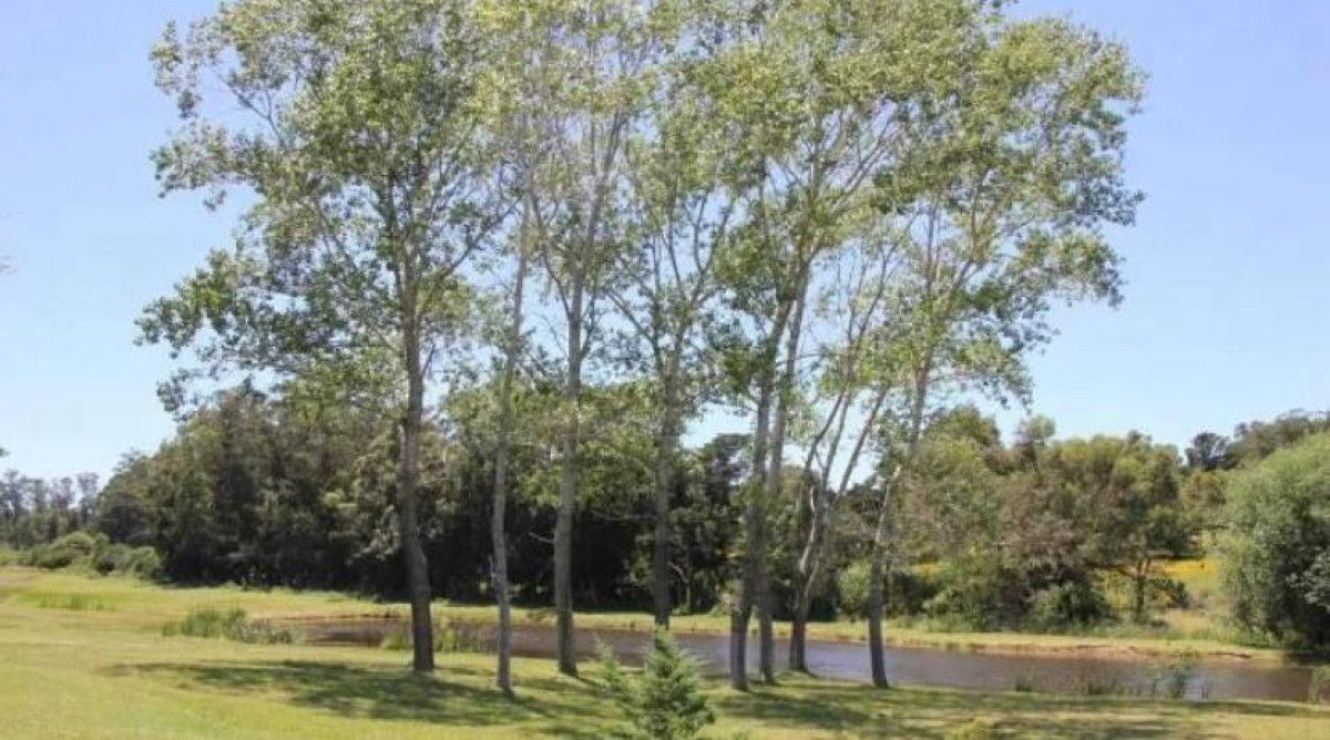 Terreno en venta, Punta Ballena 