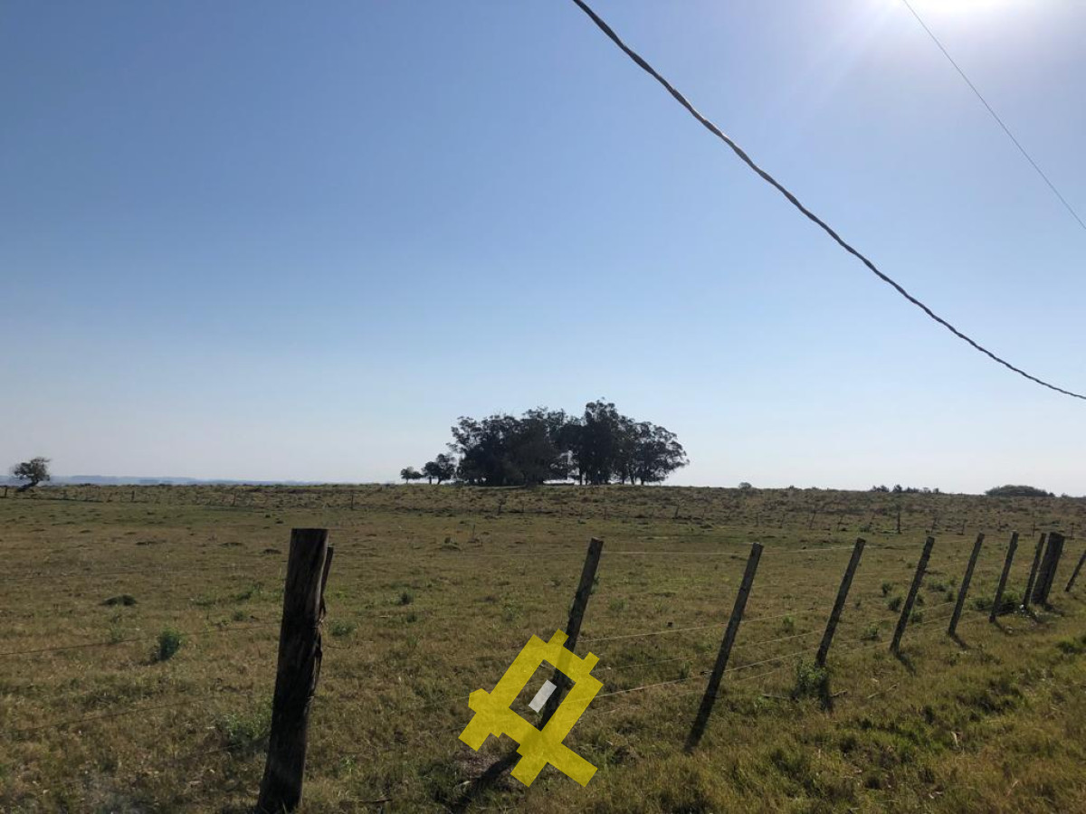 Chacra ID.59 - Chacra Los caracoles,  Hermosa Vista