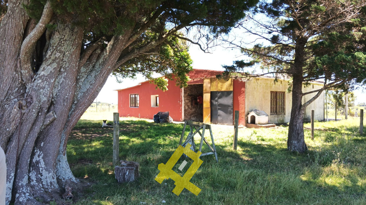 Chacra ID.145 - chacra próxima a pueblo Edén