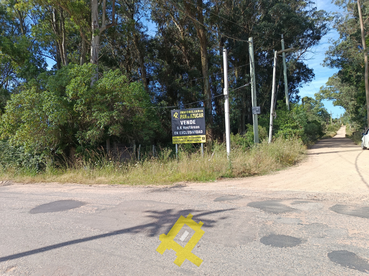 Chacra ID.106 - ¡Enorme chacra sobre Camino Lussich!