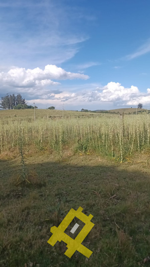 Chacra ID.145 - chacra próxima a pueblo Edén