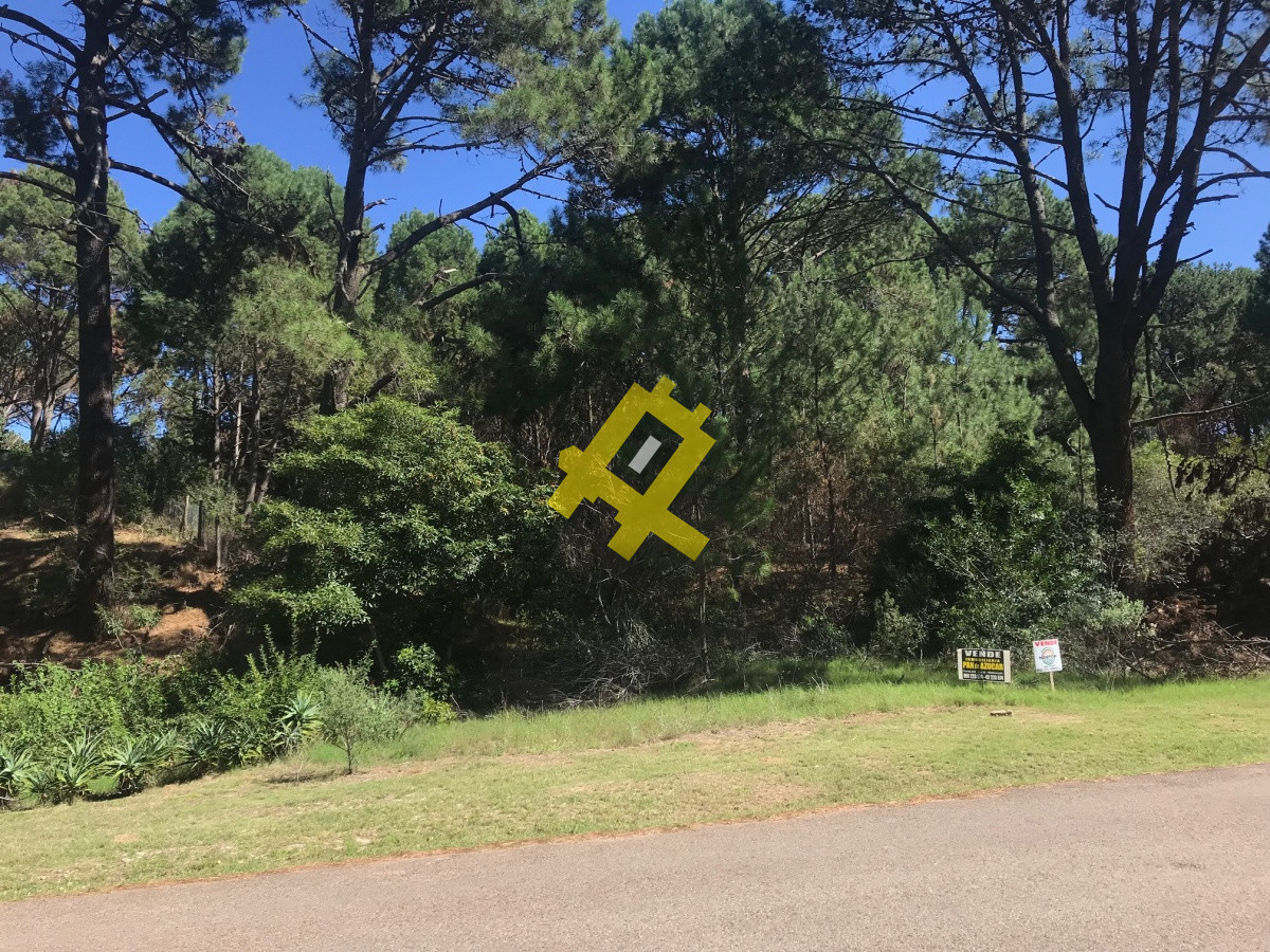 Punta Ballena - GoPunta - Portal Inmobiliario de Punta del Este - Maldonado
