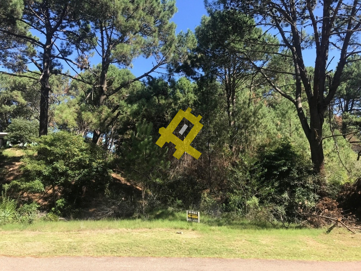 Punta Ballena - GoPunta - Portal Inmobiliario de Punta del Este - Maldonado