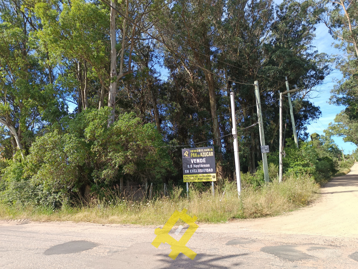 Terreno ID.107 - Enorme terreno sobre Camino Lussich