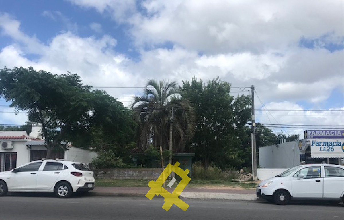 Terreno ID.18 - Terreno sobre impirtante avenida de Maldonado 