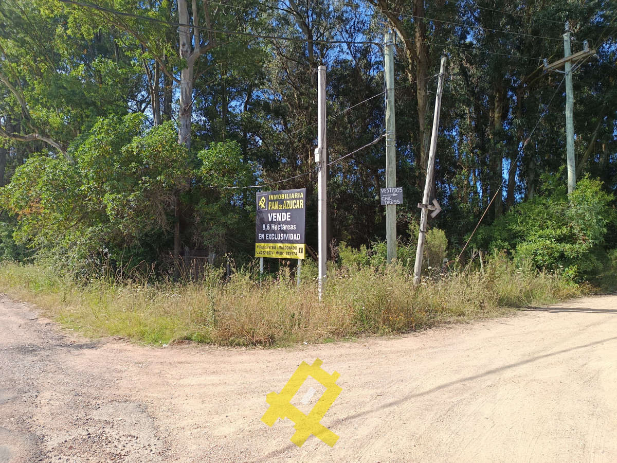 Terreno ID.107 - Enorme terreno sobre Camino Lussich
