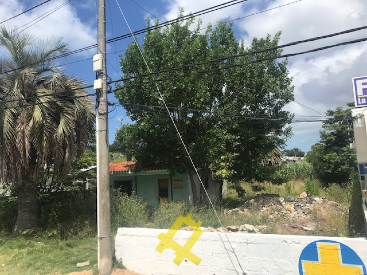 Terreno ID.18 - Terreno sobre impirtante avenida de Maldonado 