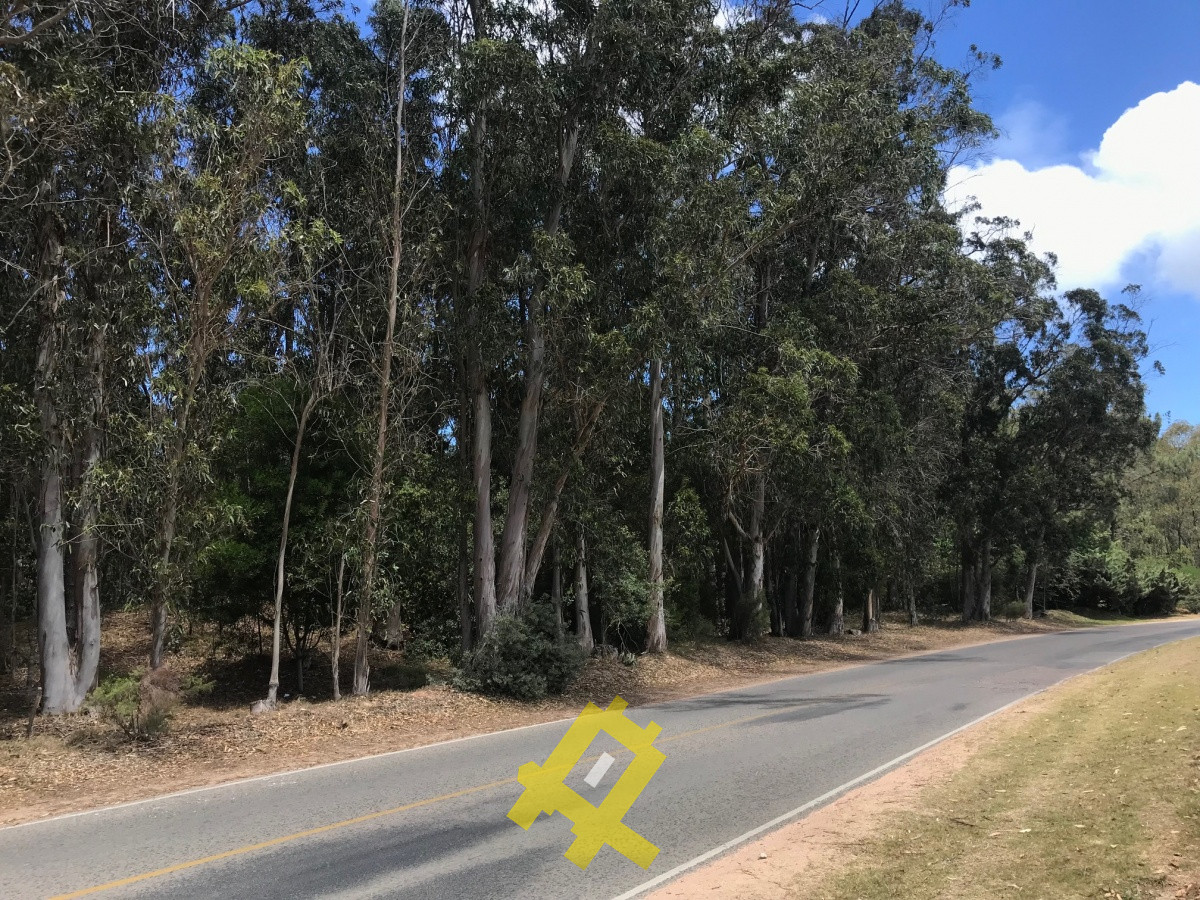 Terreno ID.35 - Hermoso terreno sobre importante Avenida