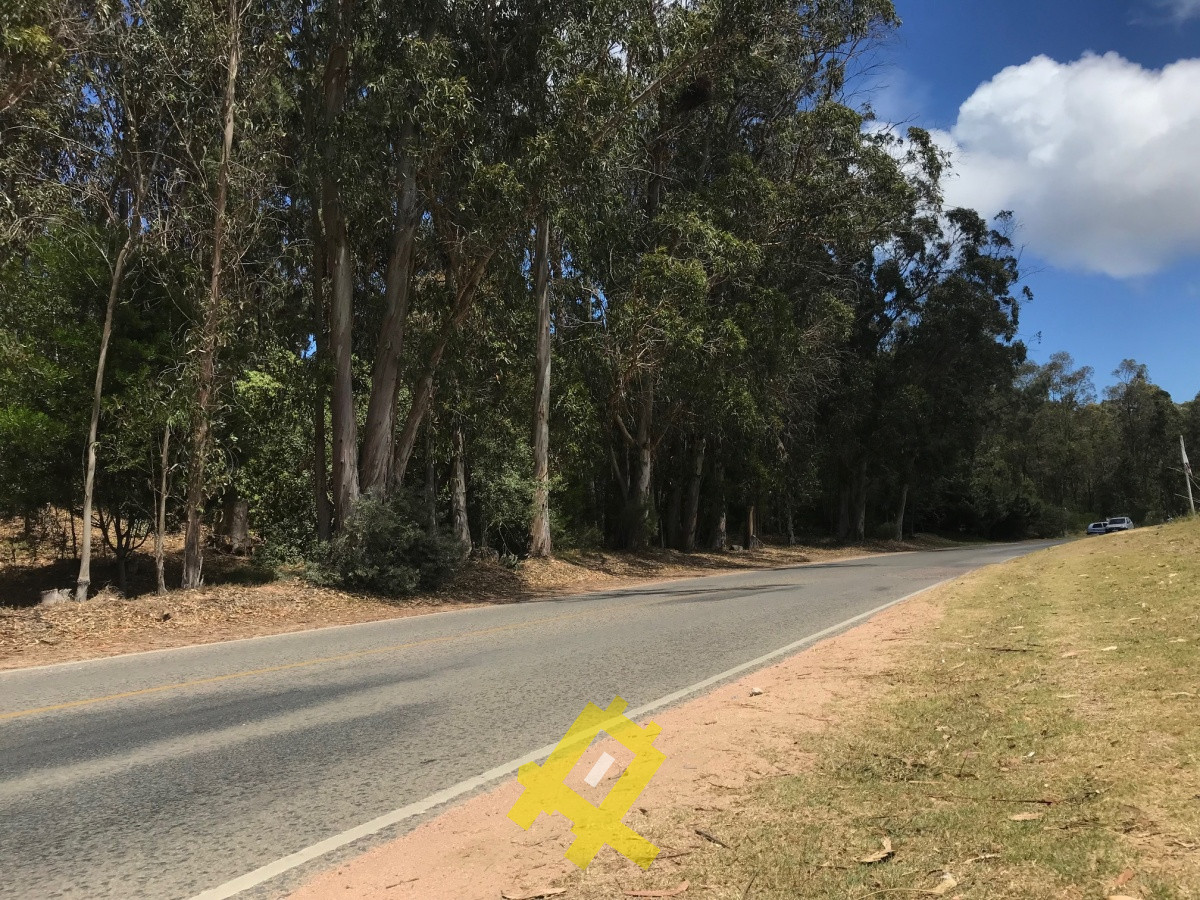 Terreno ID.35 - Hermoso terreno sobre importante Avenida
