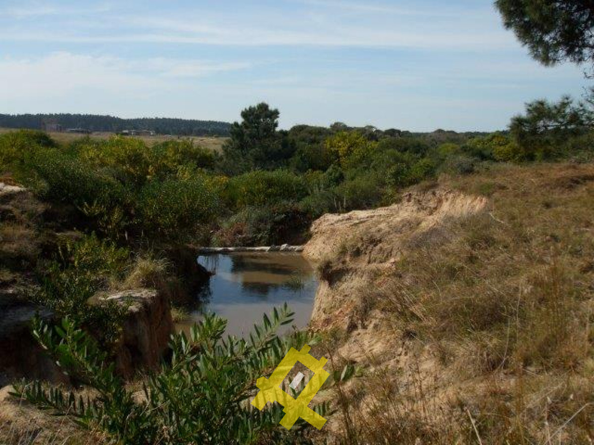 Terreno ID.112 - Hermoso terreno en Tajamares de la Pedrera