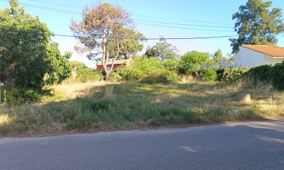 Terreno Las Delicias