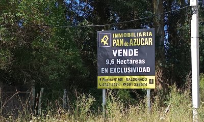 Enorme terreno sobre Camino Lussich