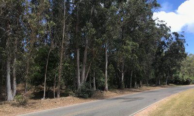 Hermoso terreno sobre importante Avenida