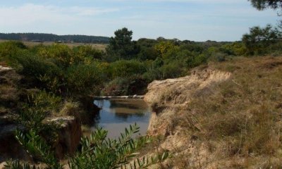 Hermoso terreno en Tajamares de la Pedrera