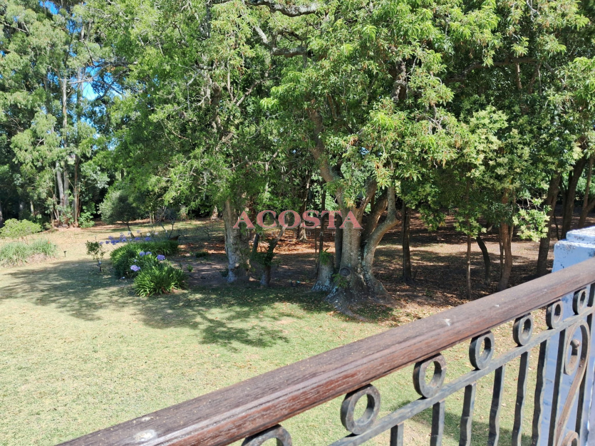 Chacra ID.216 - Lugar de tranquilidad !!!hermosa chacra en Punta Ballena 