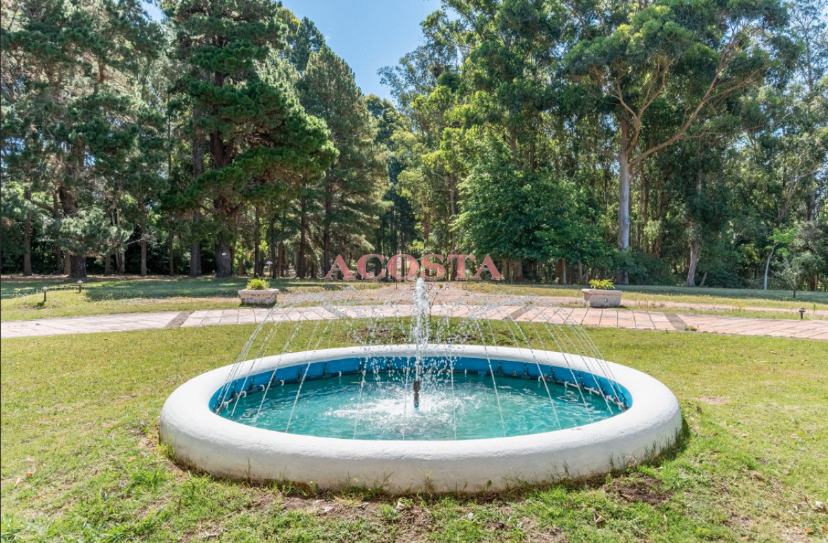 Chacra ID.216 - Lugar de tranquilidad !!!hermosa chacra en Punta Ballena 