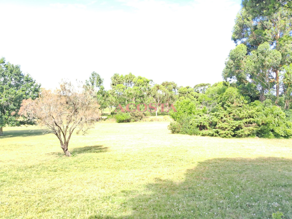 Chacra ID.216 - Lugar de tranquilidad !!!hermosa chacra en Punta Ballena 