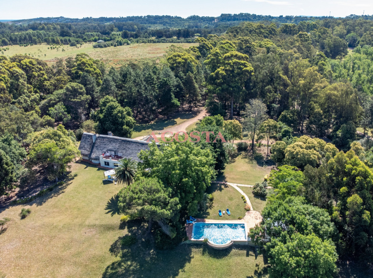 Chacra ID.216 - Lugar de tranquilidad !!!hermosa chacra en Punta Ballena 